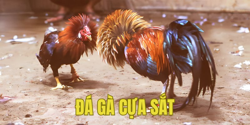 Banner www.flowtec.uk